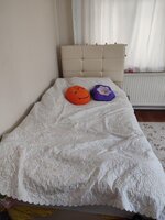 IMG_20240317_151145.jpg