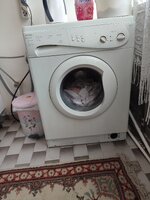 IMG_20240317_150847.jpg