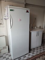 IMG_20240317_150831.jpg