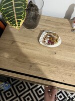 IMG_4178.jpeg